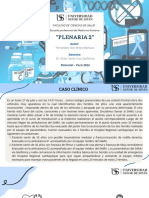 Fernandez - Diez - Plenaria 02