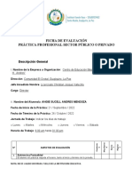 Ficha de Evaluacion Practica Profesional