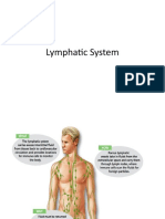 Lymphatic System