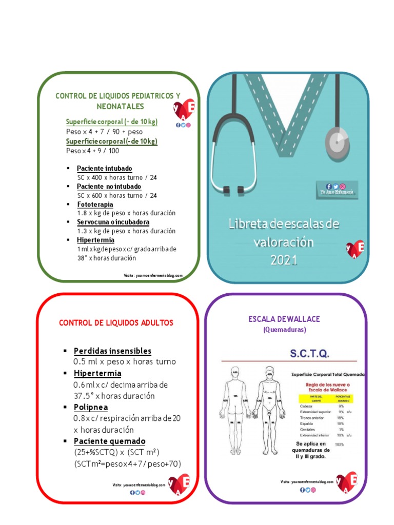 Escala De Daniels Fisiologia Muscular Anatom A M Dica Medicina De ...