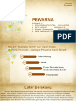 Kelompok 4 - Pewarna