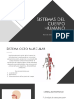 Sistemas Del Cuerpo Humano