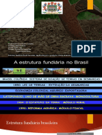 Estrutura fundiária Brasil-Amazônia