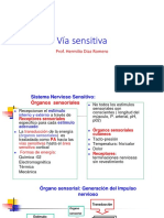 Via Sensitiva PDF