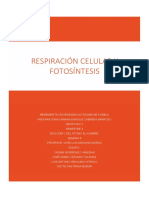Respiracion Celular y Fotosintesis