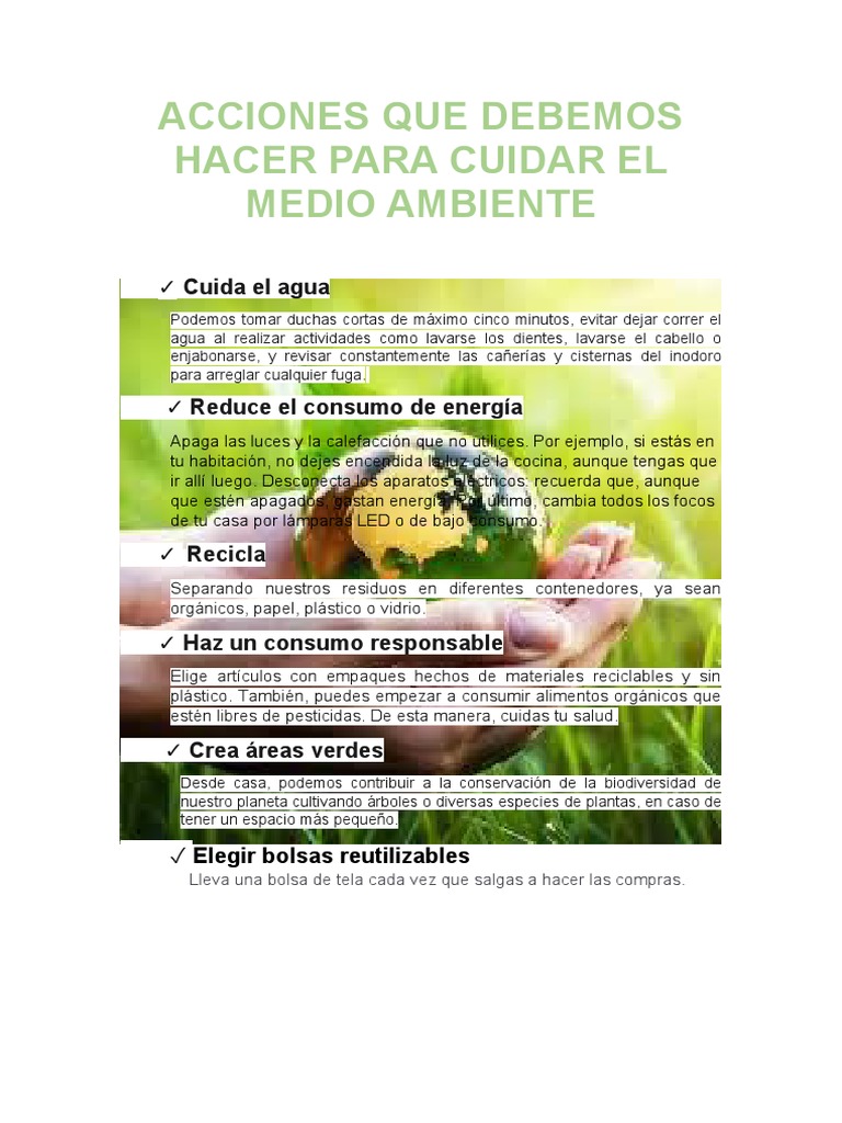 Cinco sencillas acciones que podemos tomar para cuidar el medio ...