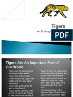 Tiger Project