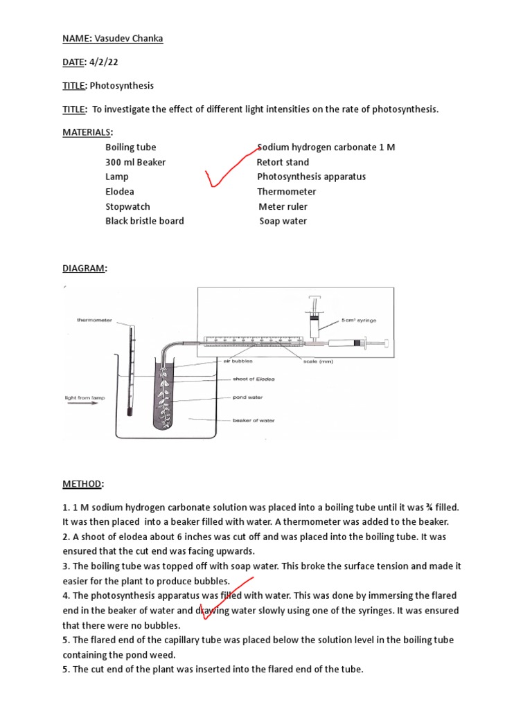 The Effect of Light Intensity on the Rate of Photosynthesis PDF