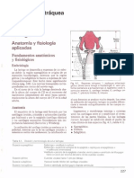 Anatomía y fisiología de la laringe y la tráquea