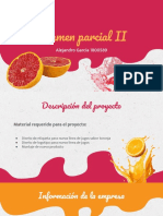 Examen Parcial II Sintesis Del Diseño