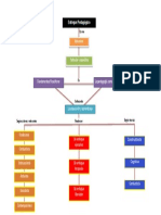 1 Mapa Conceptual Enfoques Pedagógicos (Vivian)