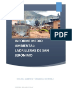 Informe Medio Ambiental Ladrilleras de S