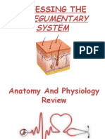 Assessing the integumentary system: structures, functions and relationships