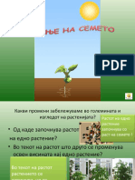 на семето 5