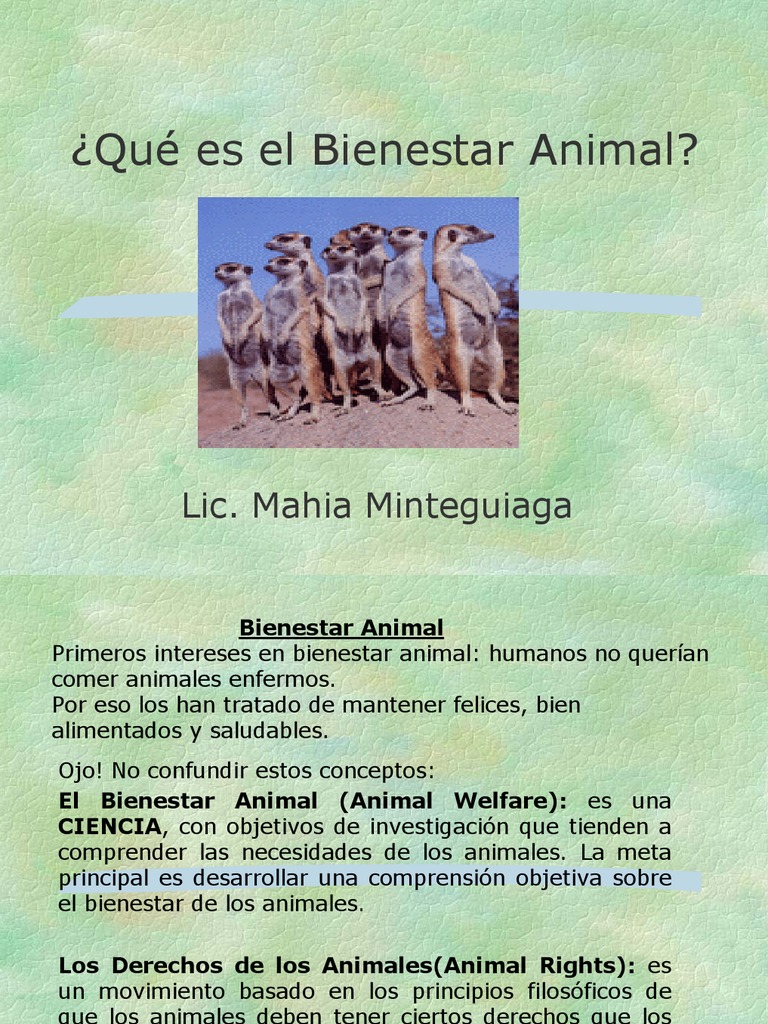 Principios del Bienestar Animal | PDF | Bienestar | Bienestar de los ...