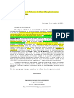 Solicitud de Permiso Consejo de Protección Nnya