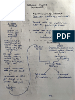 Cellulase Enzyme Extraction Flowchart