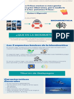 Biomimética. El Tiburón de Galapagos.