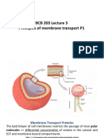 BCB 203 Lecture 3