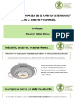 Tema 2 Entorno y Estrategia Vet