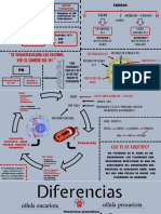 PH - Celula (Euca. y Proca.)