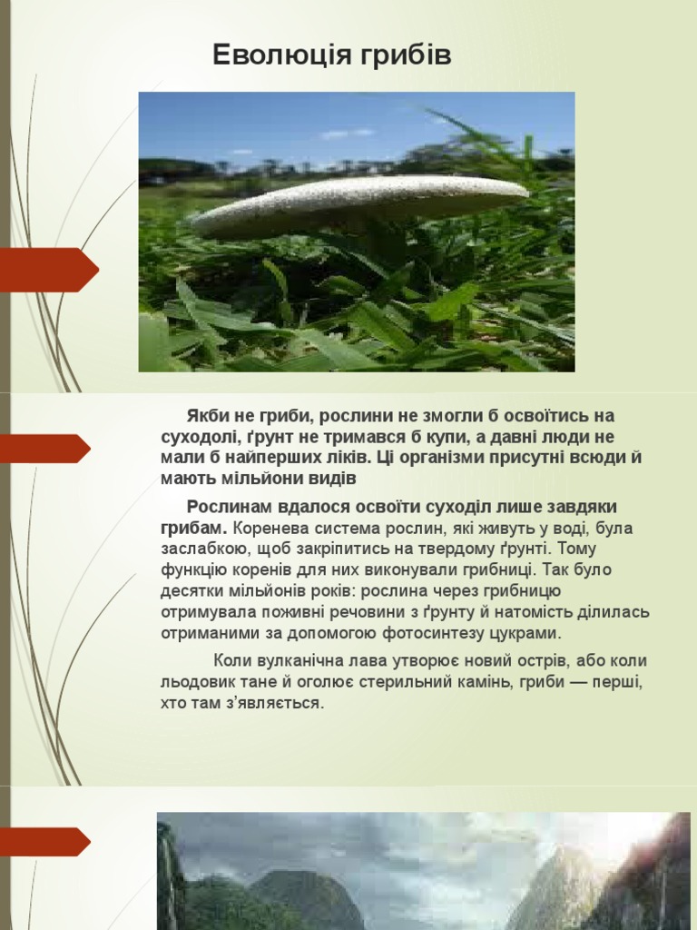 Стас | PDF