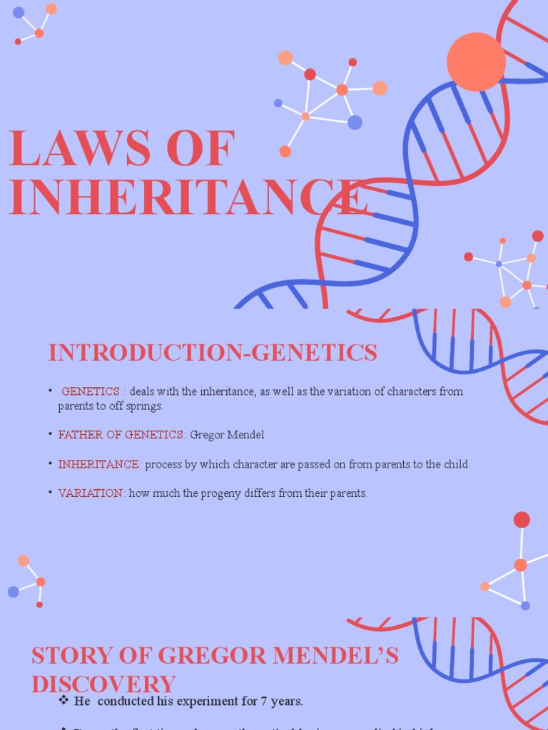 Laws of Inheritance PDF Dominance Allele