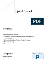 Phosphor Kreis Lauf