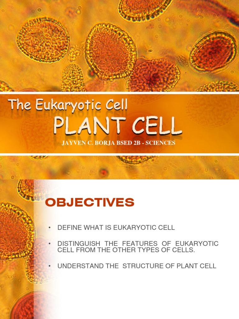 CMB PPT 2 Borja Jayven | PDF | Cell (Biology) | Eukaryotes