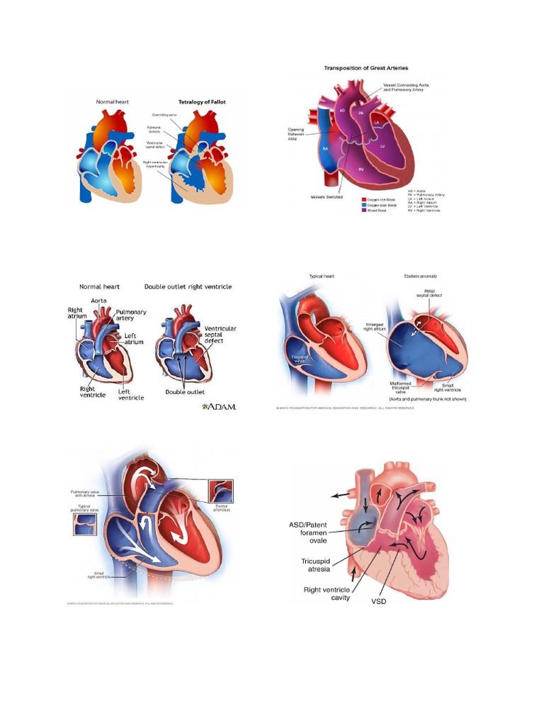 Gambar PJB | PDF