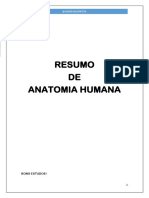 resumo-de-anatomia-humana