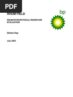 B P - Petrophysical Reservoir Evaluation