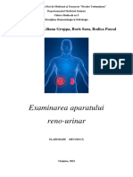 Indicatie Metodica - Examinarea Aparatului Renourinar-69346