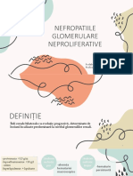 Nefropatiile Glomerulare Neproliferative