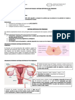 Guia Sexto Basico Ab Sistema Reproductor Femenino 2022