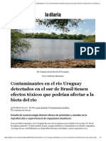 Contaminantes en El Río Uruguay Detectados en El Sur de Brasil, Efectos Tóxicos Que Podrían Afectar A La Biota Del Río