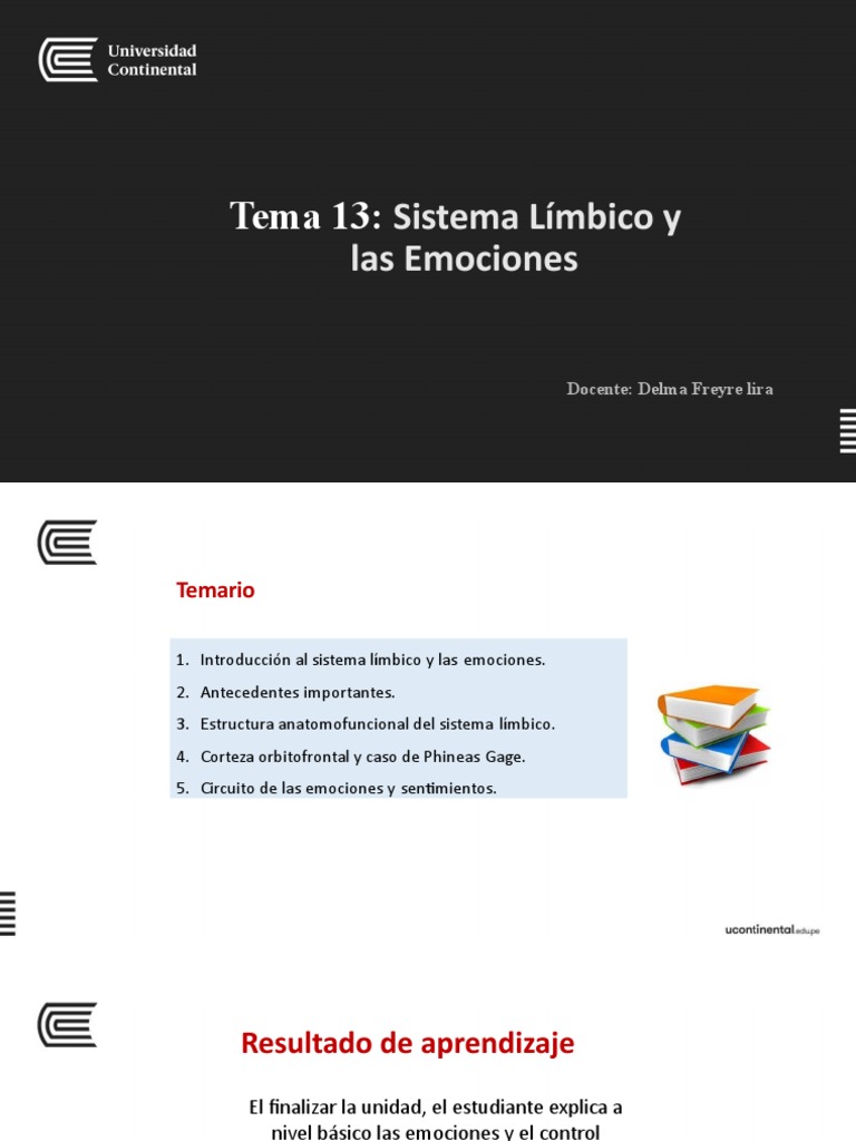 Hiperbulimia y el Sistema Límbico | PDF | Las emociones | Sistema límbico