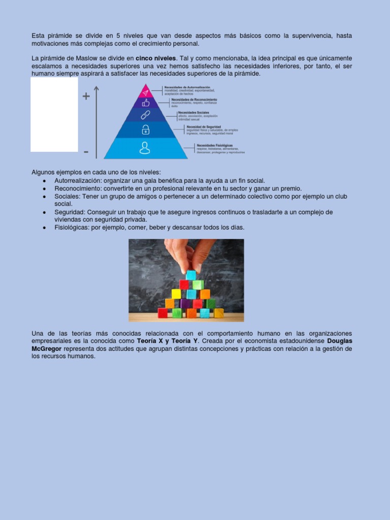 Infografia Teorias Del Comportamiento Humano PDF Motivación