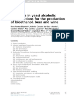 Advances in Yeast Alcoholic