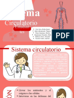 Dispositivas - Sistema Circulatorio