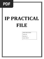 Ip Practical File