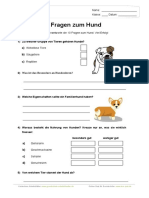 10 Fragen Zum Hund