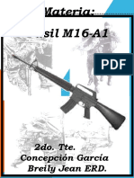 M-16 A-1 Concepcion G.
