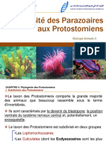 CHAPITRE 4. Phylogénie Des Protostomiens