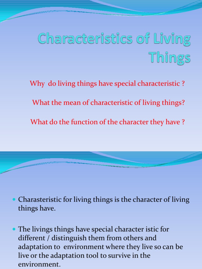 Characteristics of Living Things PDF Bat Zoology