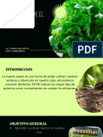 Proyecto de El Cilantro PDF