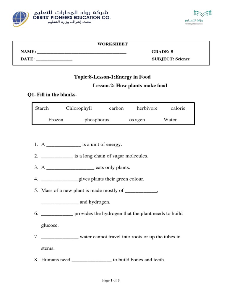 WORKSHEET-lesson-1 - Grade 5 | PDF