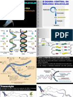 Apresentação Do PowerPoint