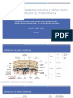 HIPERTENSIÓN ENDOCRANEANA