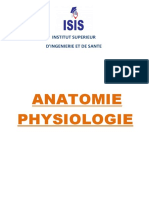 Isis Anatomie 2022